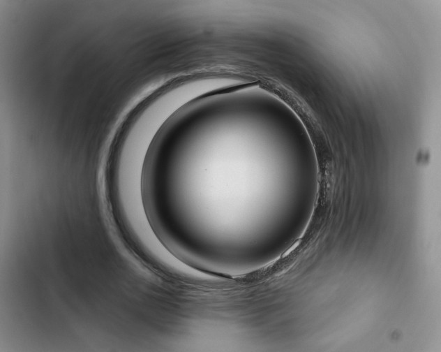 X0000103150726200808221330