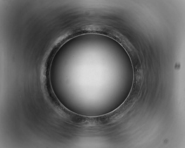 X0000103150727200808221330