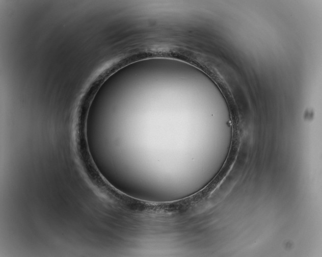 X0000103150728200808221330