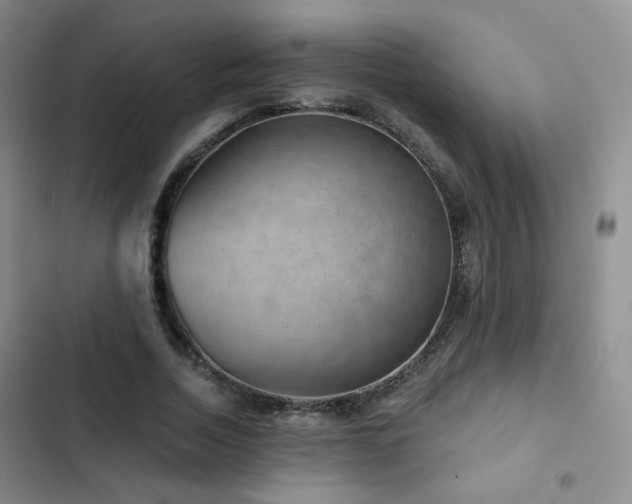 X0000103150730200808221330