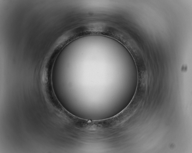 X0000103150731200808221330