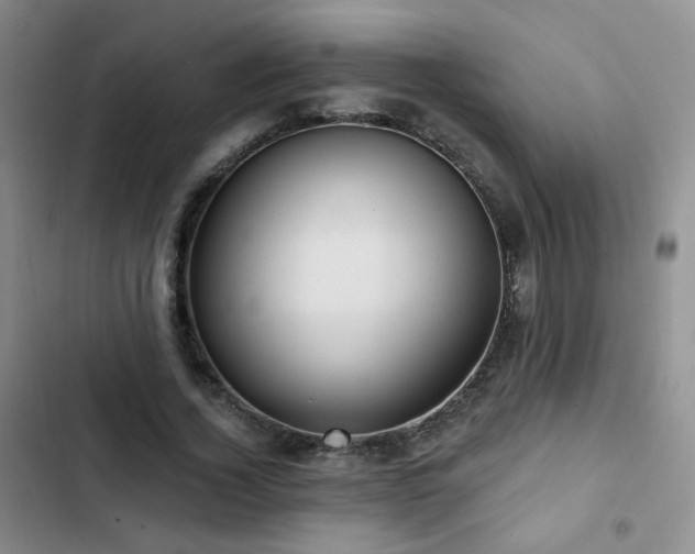 X0000103150732200808221330