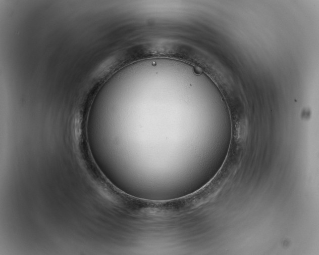 X0000103150733200808221330