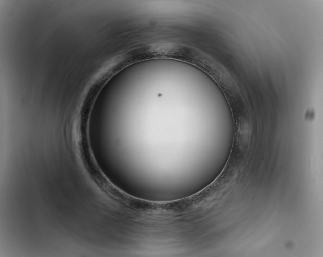 X0000103150734200808221330