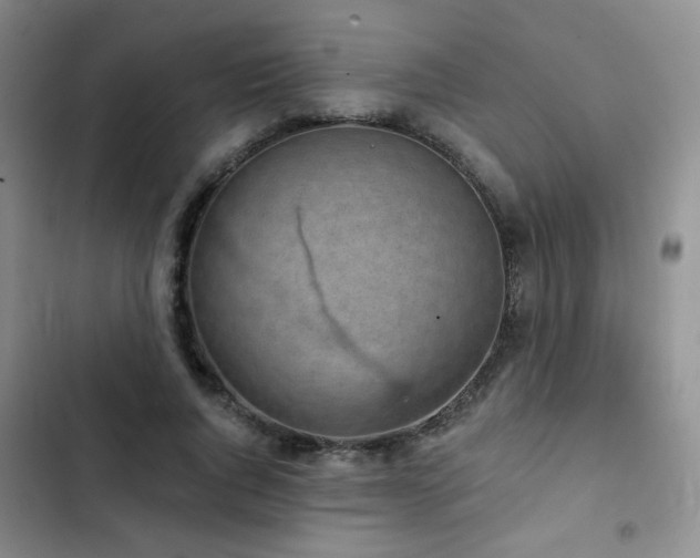 X0000103150736200808221330