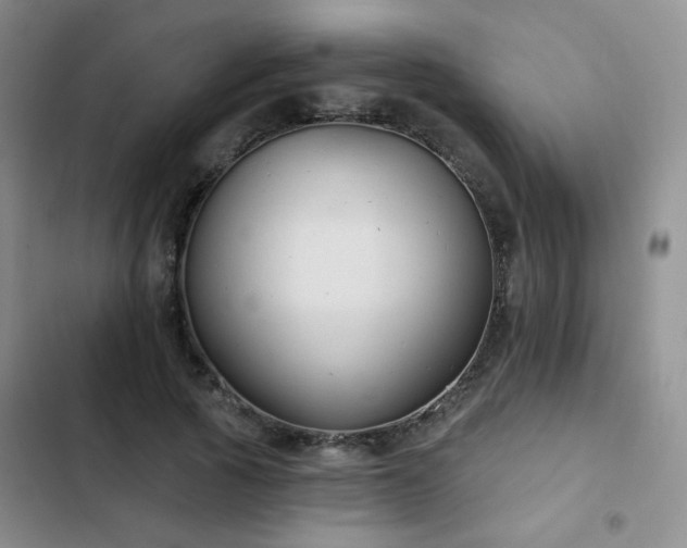 X0000103150737200808221330