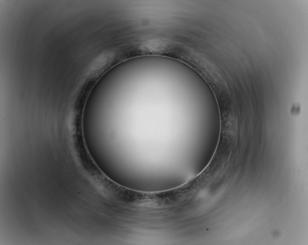 X0000103150738200808221330