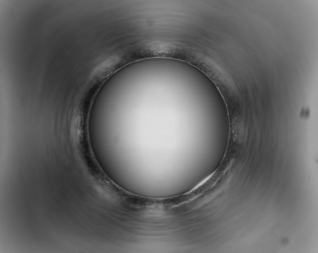 X0000103150740200808221330