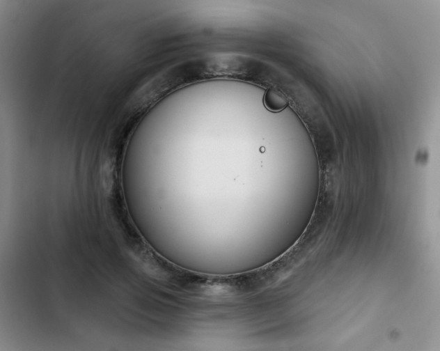 X0000103150741200808221330
