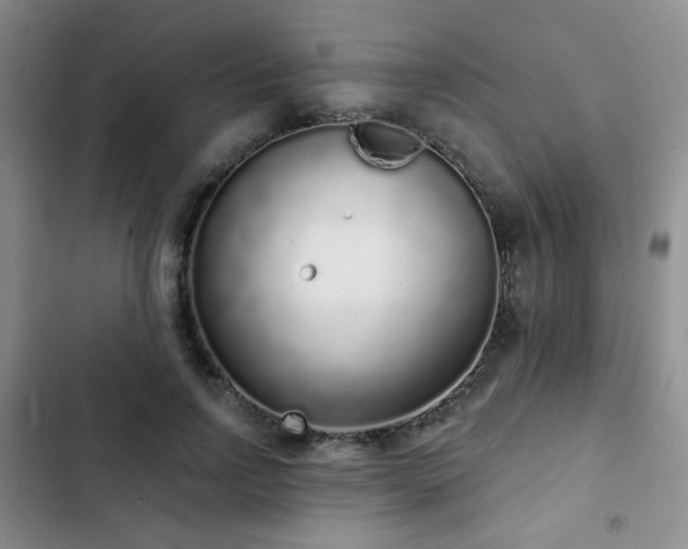 X0000103150742200808221330