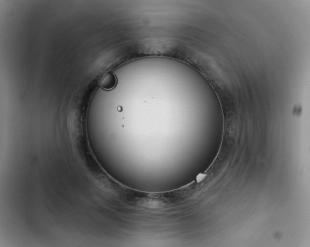 X0000103150743200808221330