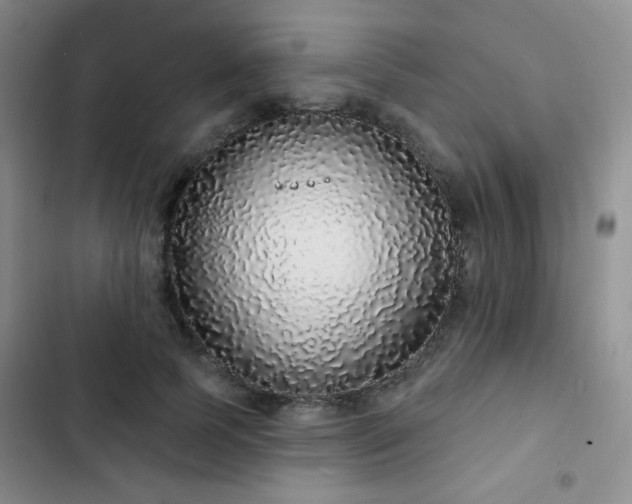 X0000103150745200808221330