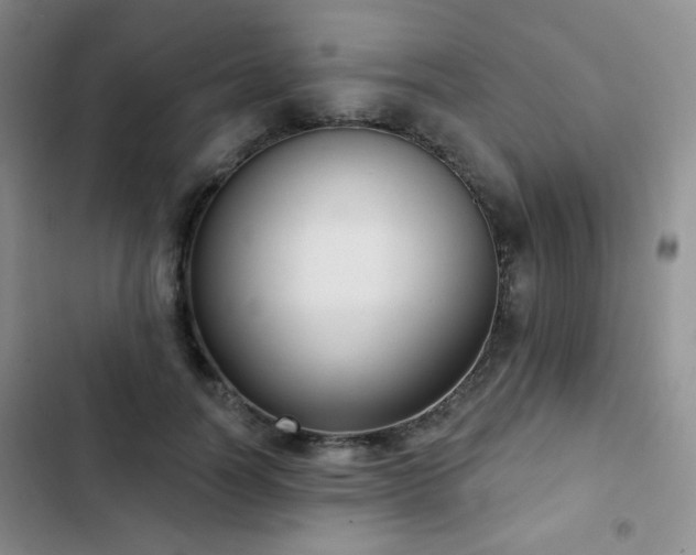 X0000103150746200808221330