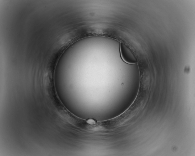 X0000103150747200808221330