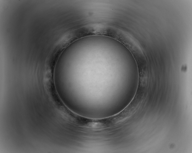 X0000103150748200808221330