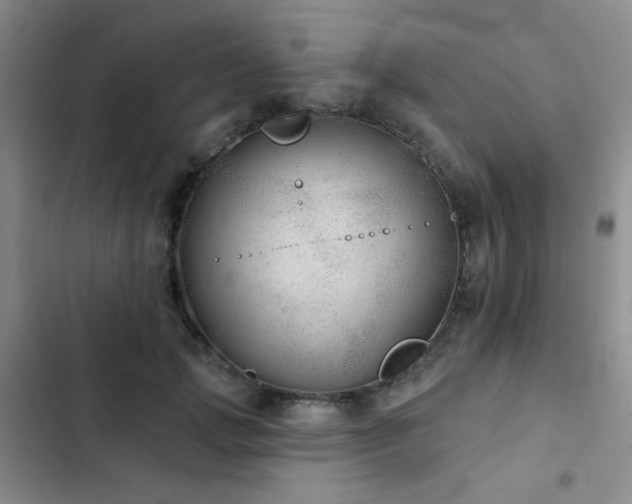X0000103150749200808221330