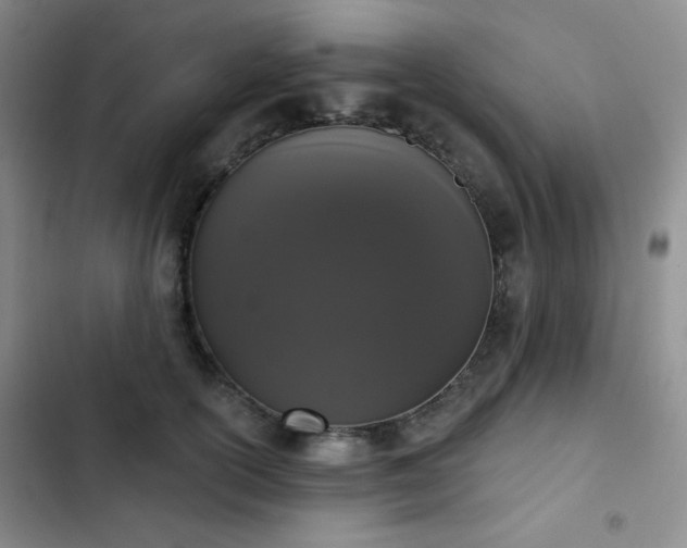 X0000103150754200808221331