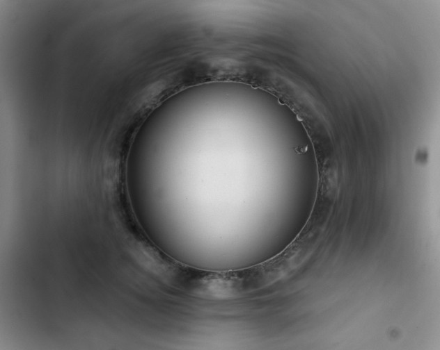 X0000103150756200808221331
