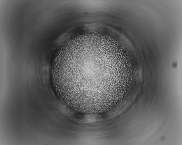 X0000103150757200808221331