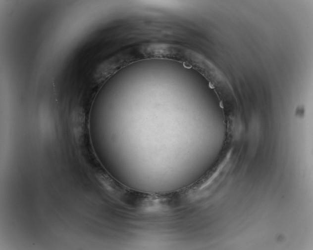 X0000103150760200808221331