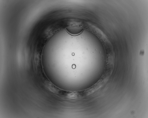 X0000103150761200808221331