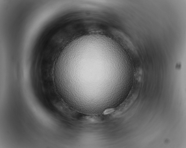 X0000103150763200808221331