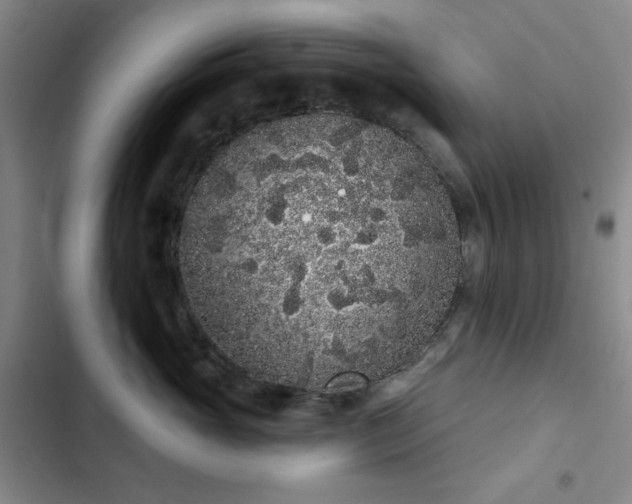 X0000103150765200808221331