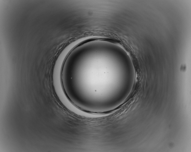 X0000103150769200808221330