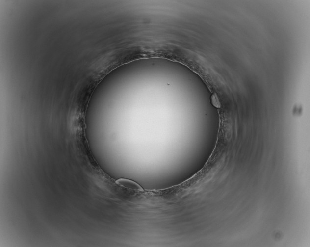 X0000103150770200808221330