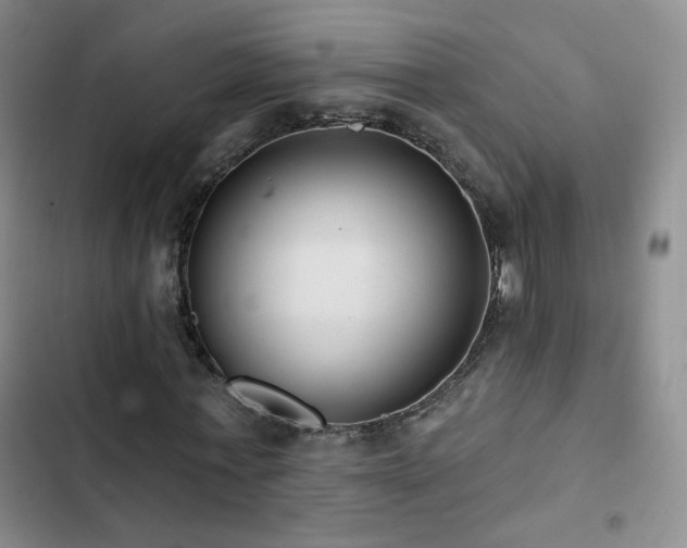 X0000103150771200808221330