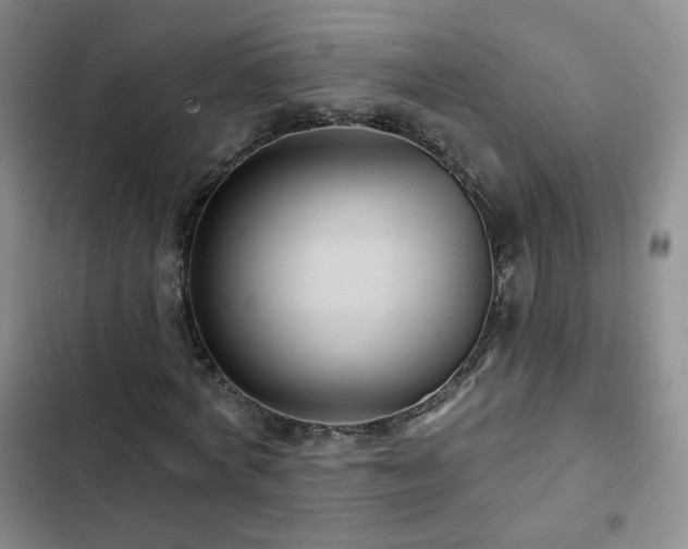 X0000103150772200808221330