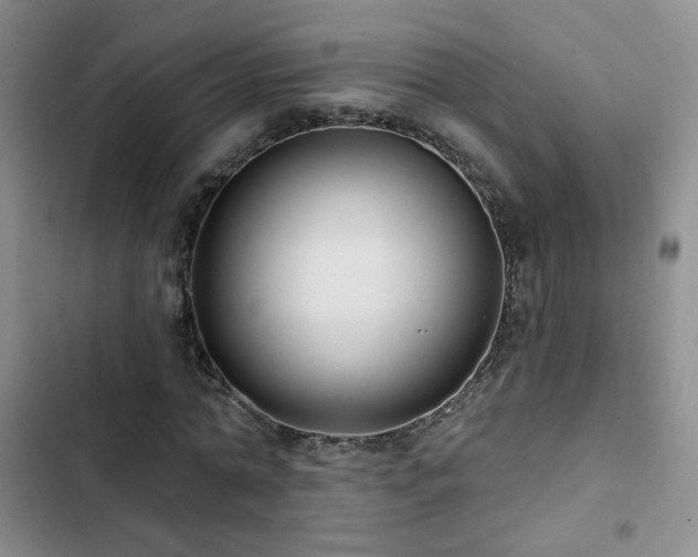 X0000103150774200808221330