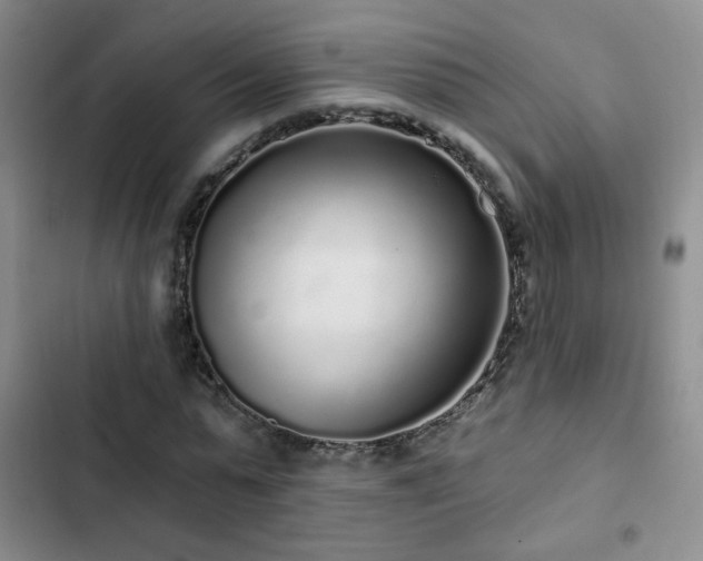 X0000103150775200808221330