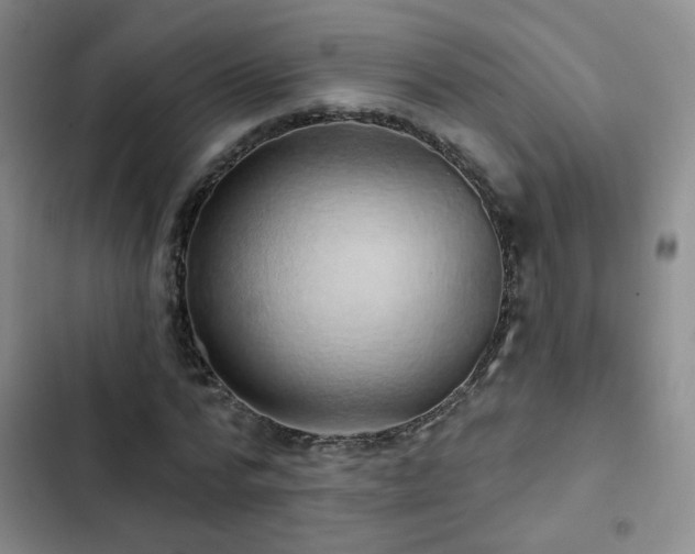 X0000103150776200808221330