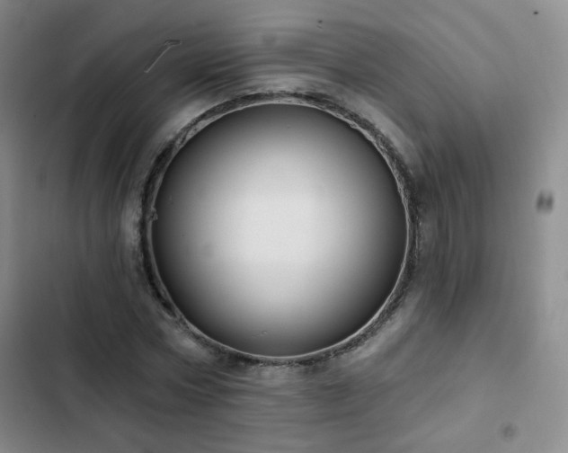 X0000103150778200808221330