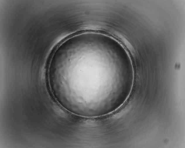 X0000103150779200808221330