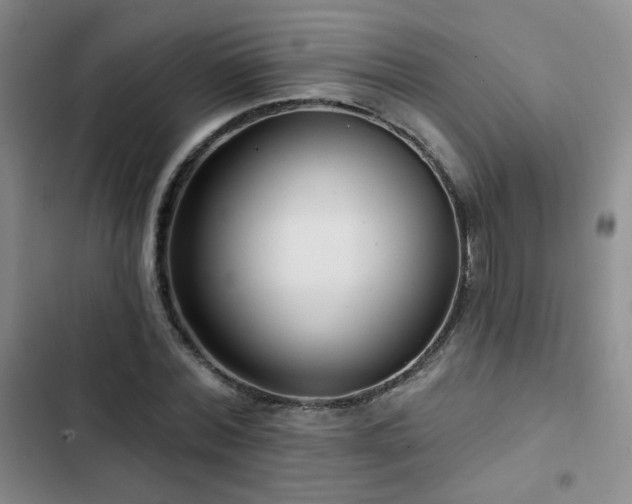 X0000103150780200808221330