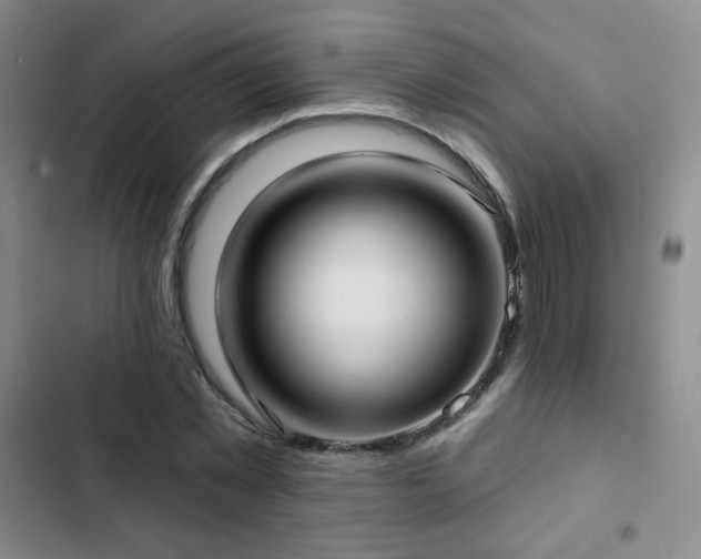 X0000103150781200808221330