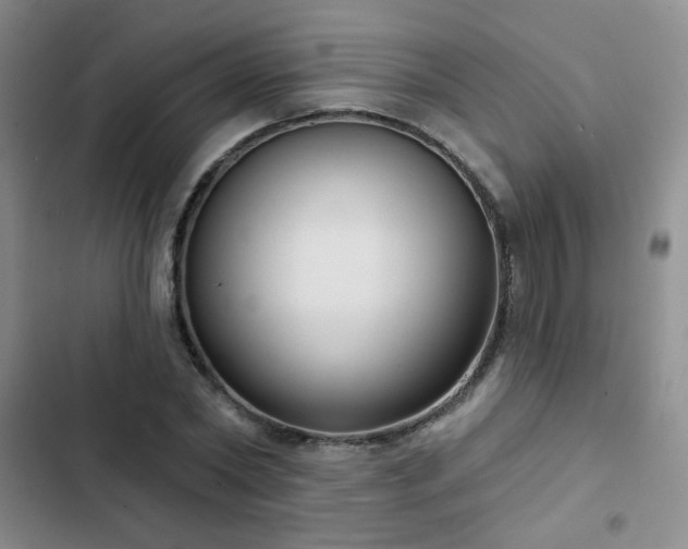 X0000103150782200808221330