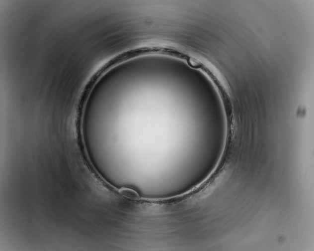 X0000103150783200808221330