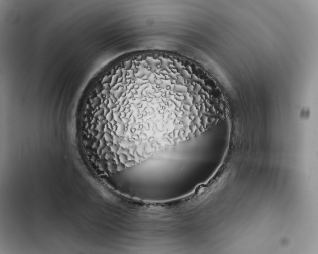 X0000103150784200808221330