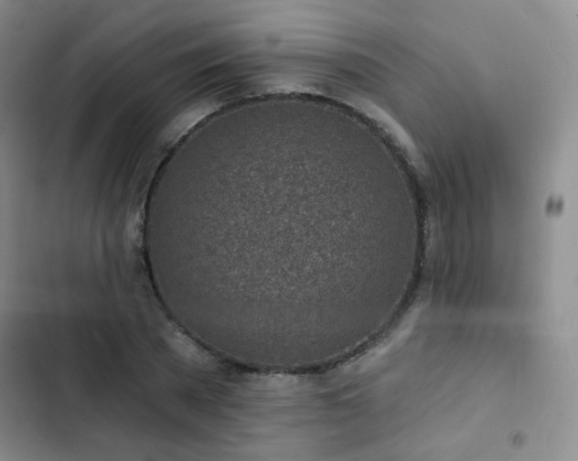 X0000103150785200808221330