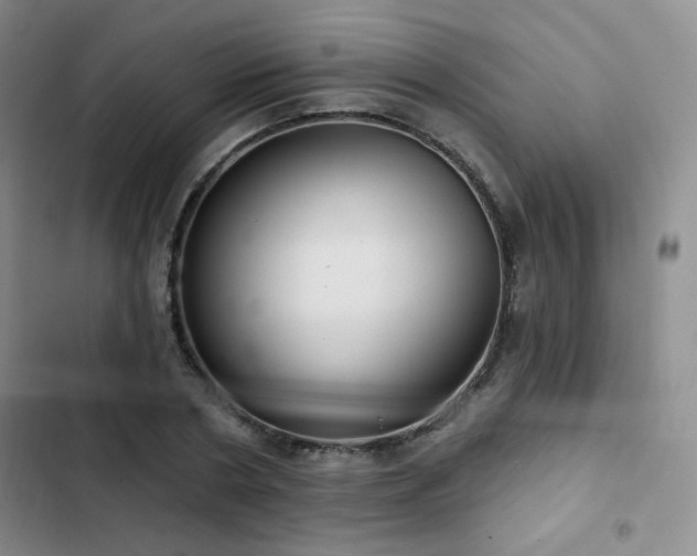 X0000103150786200808221330