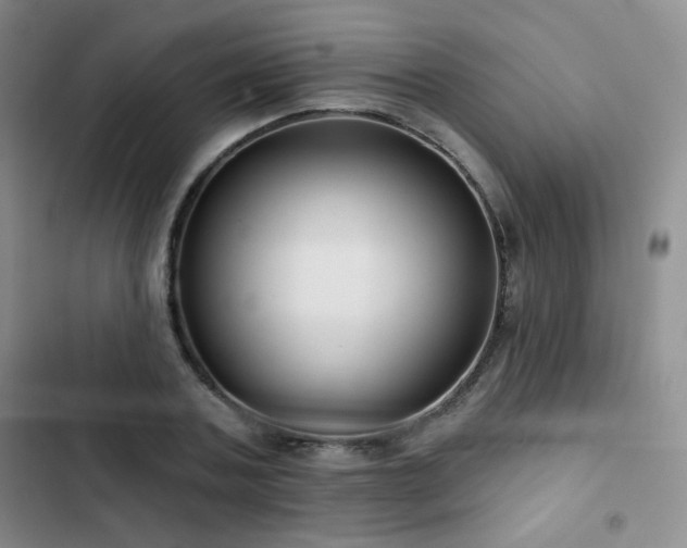 X0000103150787200808221330