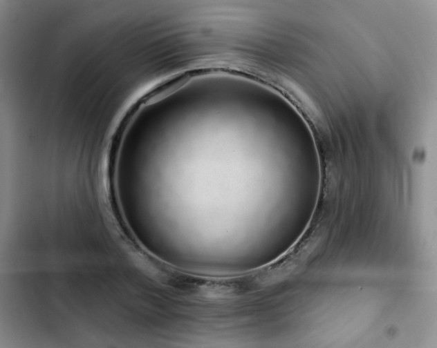 X0000103150788200808221330