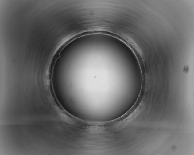X0000103150789200808221330