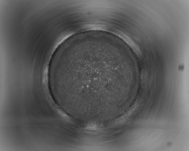 X0000103150790200808221330