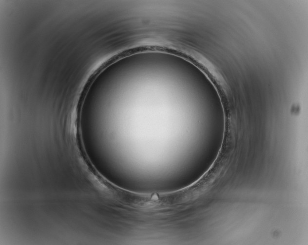 X0000103150791200808221330