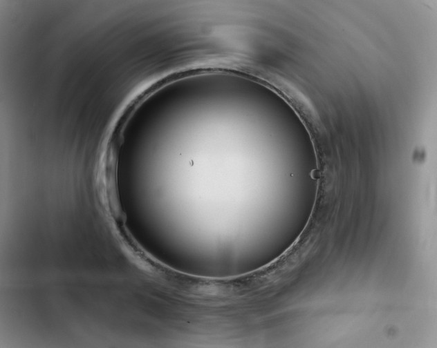 X0000103150792200808221330