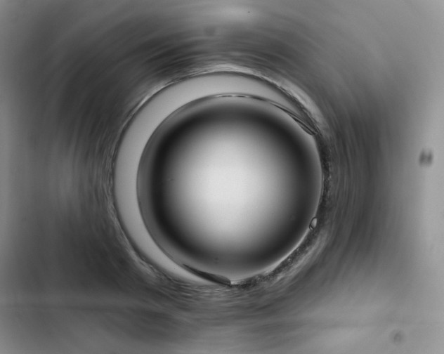 X0000103150793200808221330